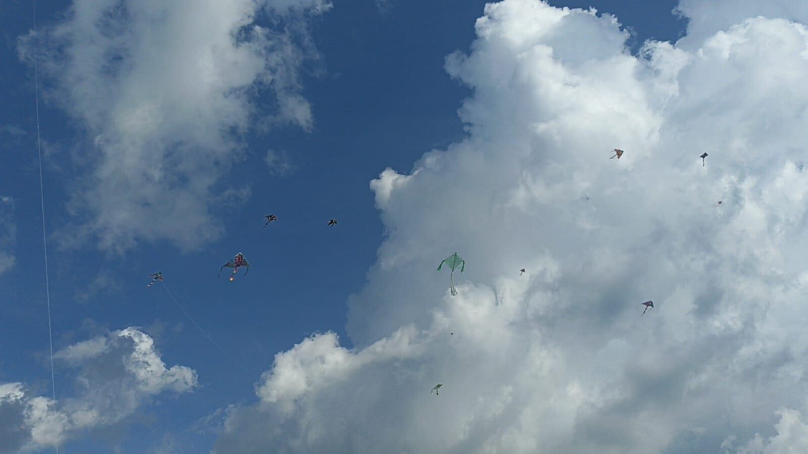 Termina agosto, mes de las cometas, una tradición que no se pierde en el Quindío. Foto Adrián Trejos