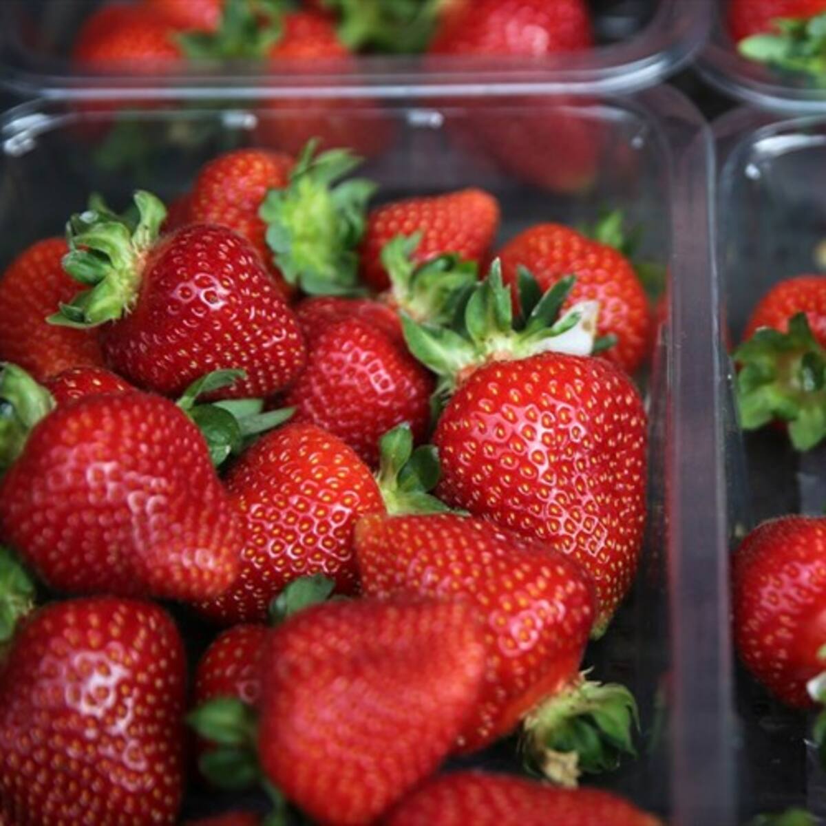 ¿Sabía que los pequeños puntos de las fresas no son sus semillas?