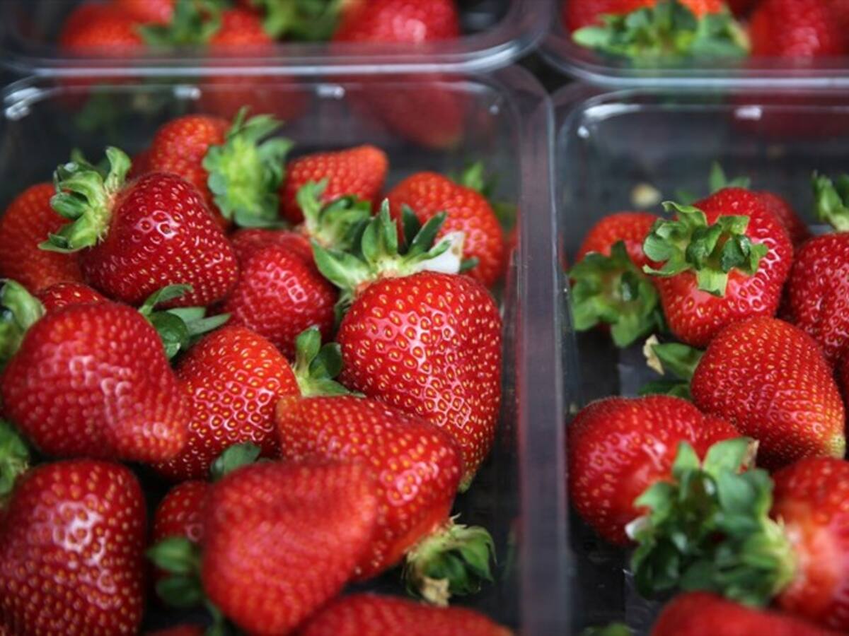 ¿Sabía que los pequeños puntos de las fresas no son sus semillas?