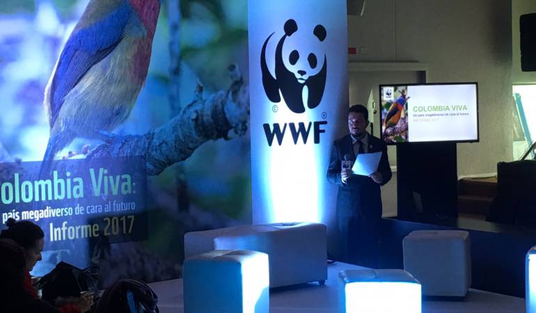 De los 85 grandes tipos de ecosistemas que existen en Colombia, 20 se encuentran en estado crítico.