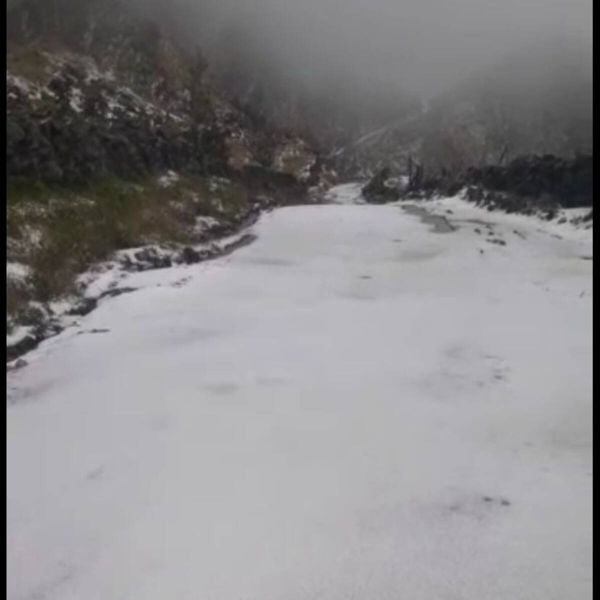Granizada en Santander destruyó cultivos y viviendas
