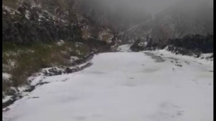 Alcalde de Concepción