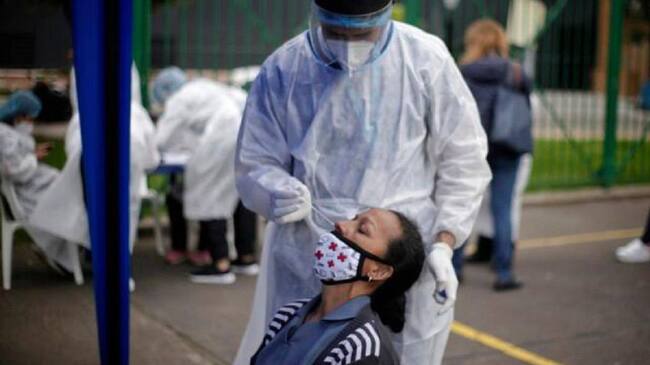 Realización de pruebas PCR