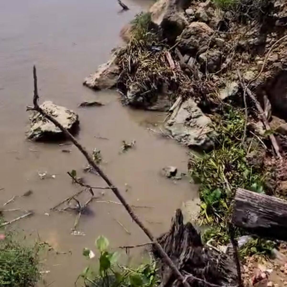 Cormagdalena confirma estudios tras avanzada socavación en Tajamar Occidental en Bocas de Ceniza