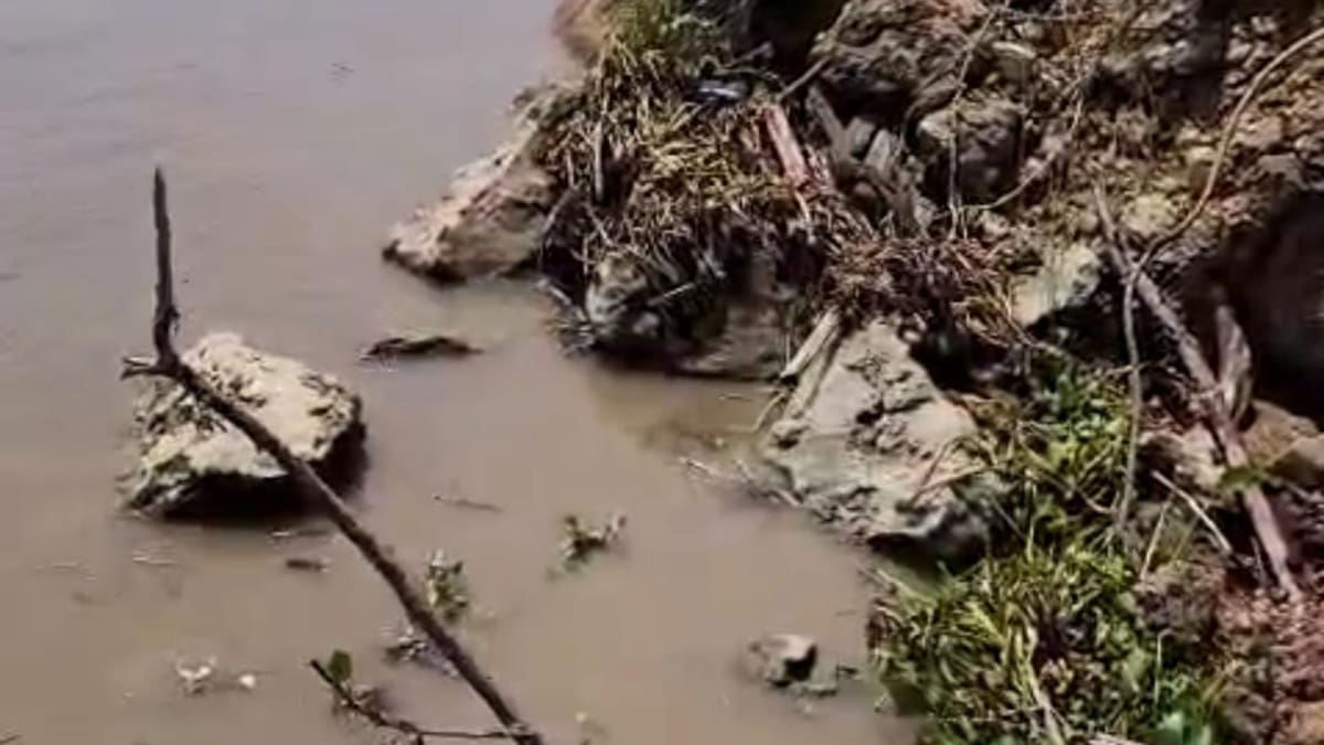 Obras en tajamar occidental requieren $130 mil millones: Cormagdalena