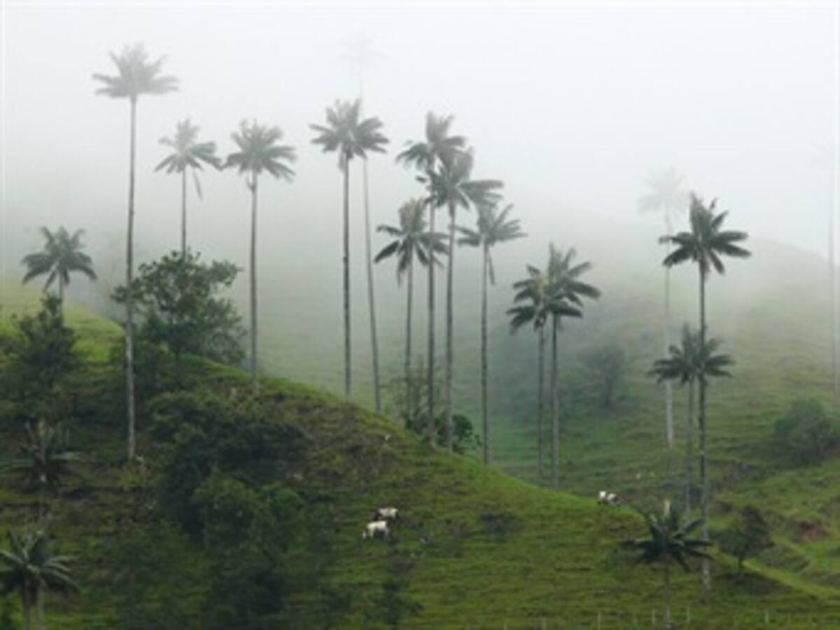 Alternativas para una Semana Santa con ecología