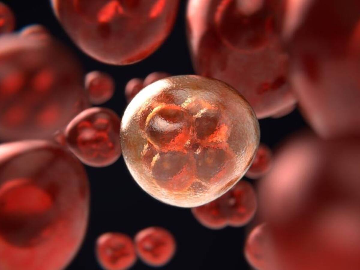 Congreso de Nuevos Tratamientos para el Cáncer en la Sangre será 18 de mayo