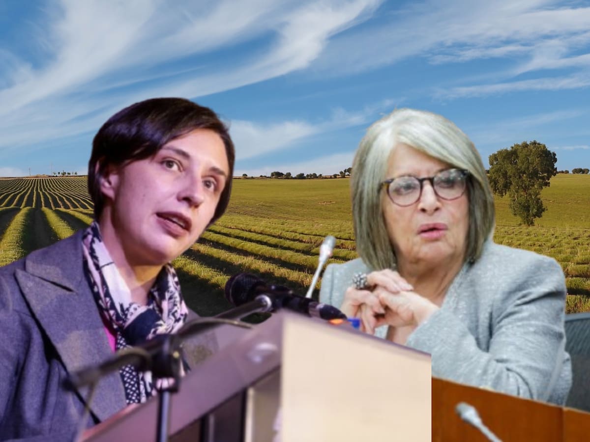“Me respeta”: choque entre MinAgricultura Carvajalino y exministra Cecilia López por reforma rural