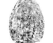 cédula digital, se reporta que más de 220,000 personas la han solicitado. Foto referencia.