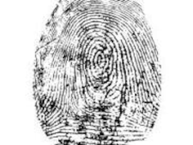 cédula digital, se reporta que más de 220,000 personas la han solicitado. Foto referencia.