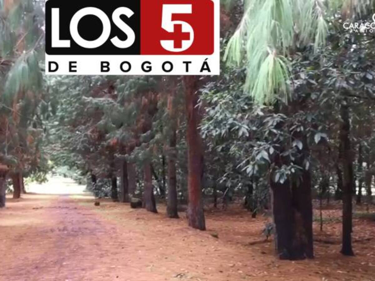 Los cinco parques más grandes de Bogotá