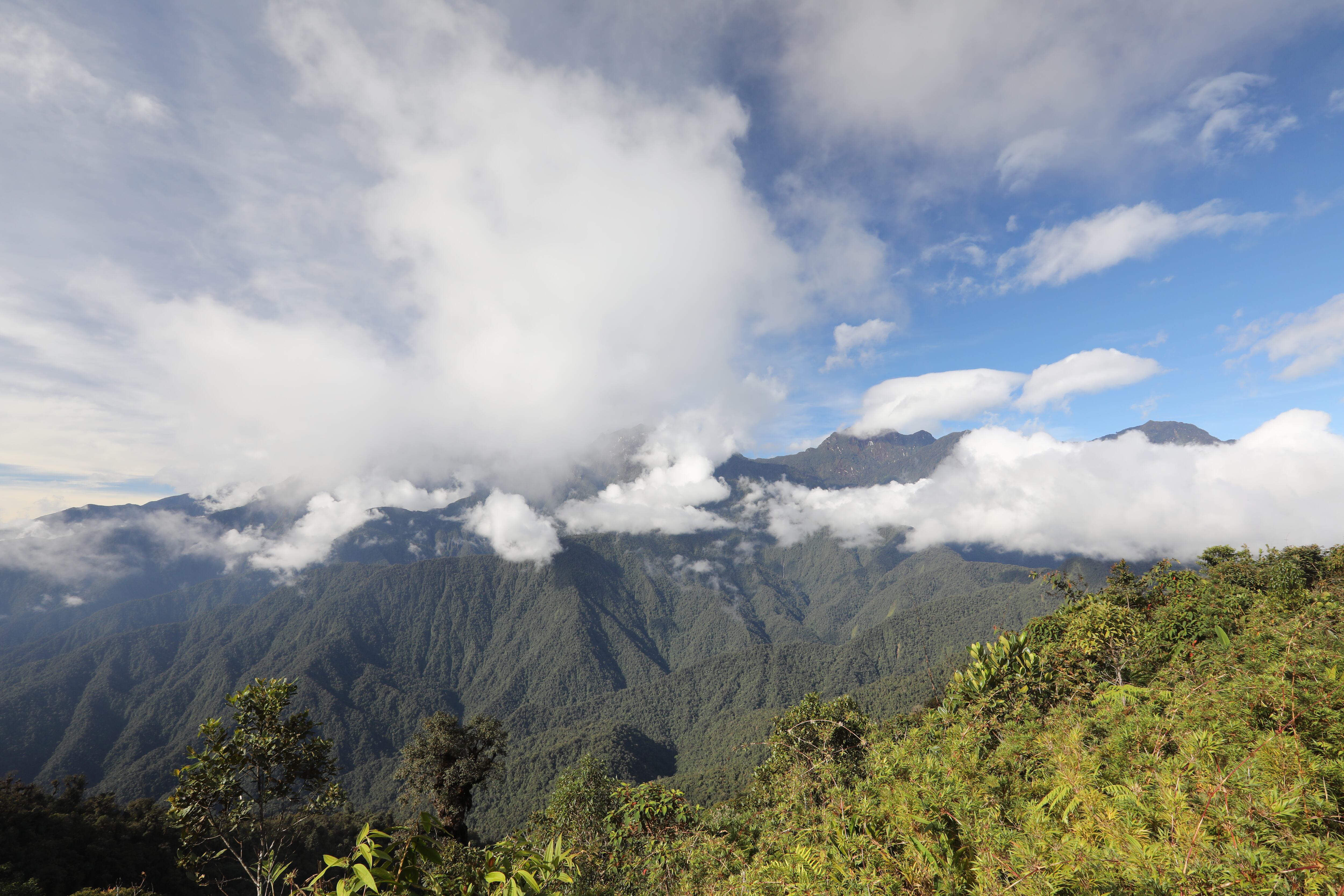 Imagen de referencia de un paisaje en Risaralda. Foto: Getty Images.