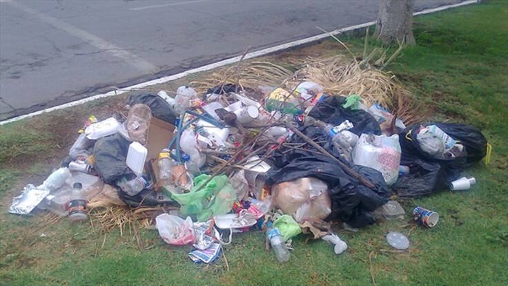 Comienza el cobro de multas por comparendos ambientales