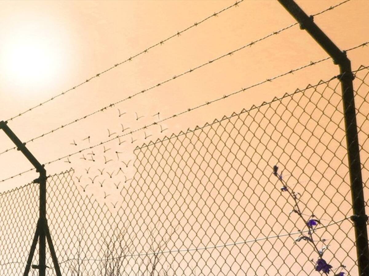 Los migrantes que soliciten asilo en EE.UU. tendrán que permanecer en México