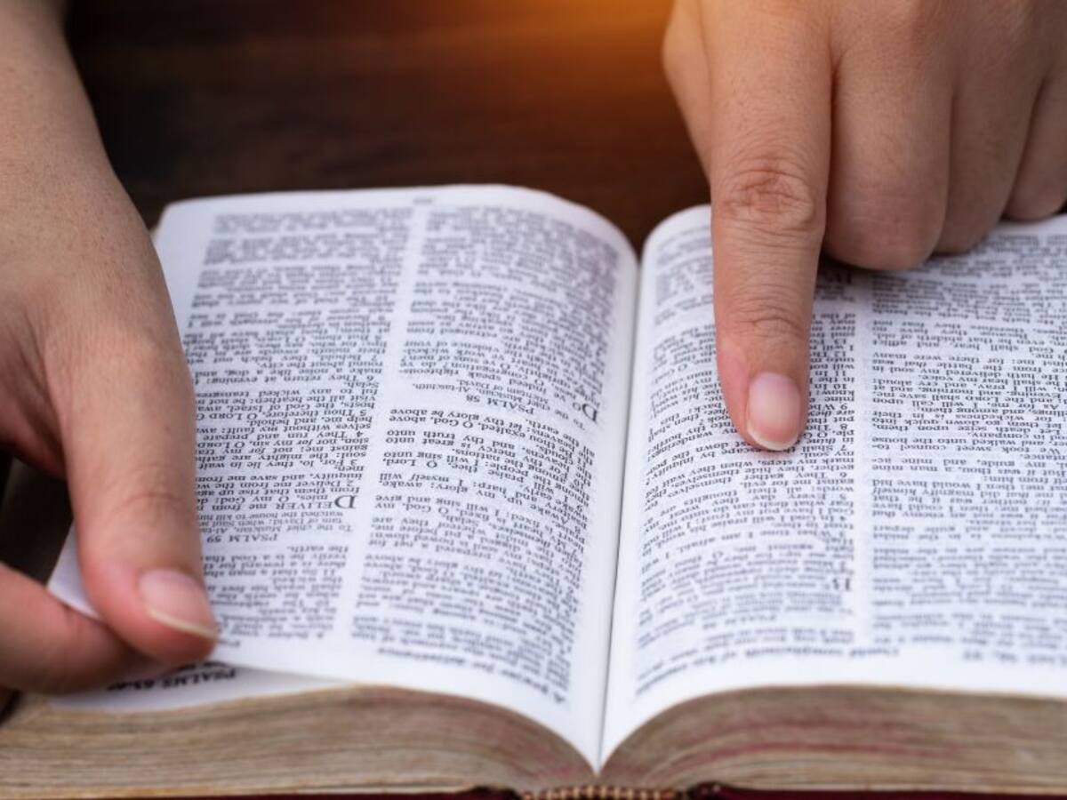 Oración a todos los santos para HOY 7 de noviembre del 2022