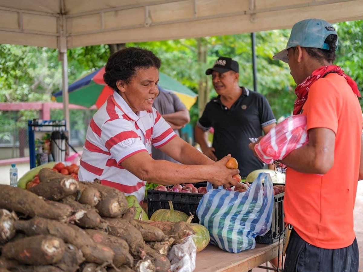 Cerca de 10 toneladas de alimentos vendidas en Mercados Campesinos en Cartagena