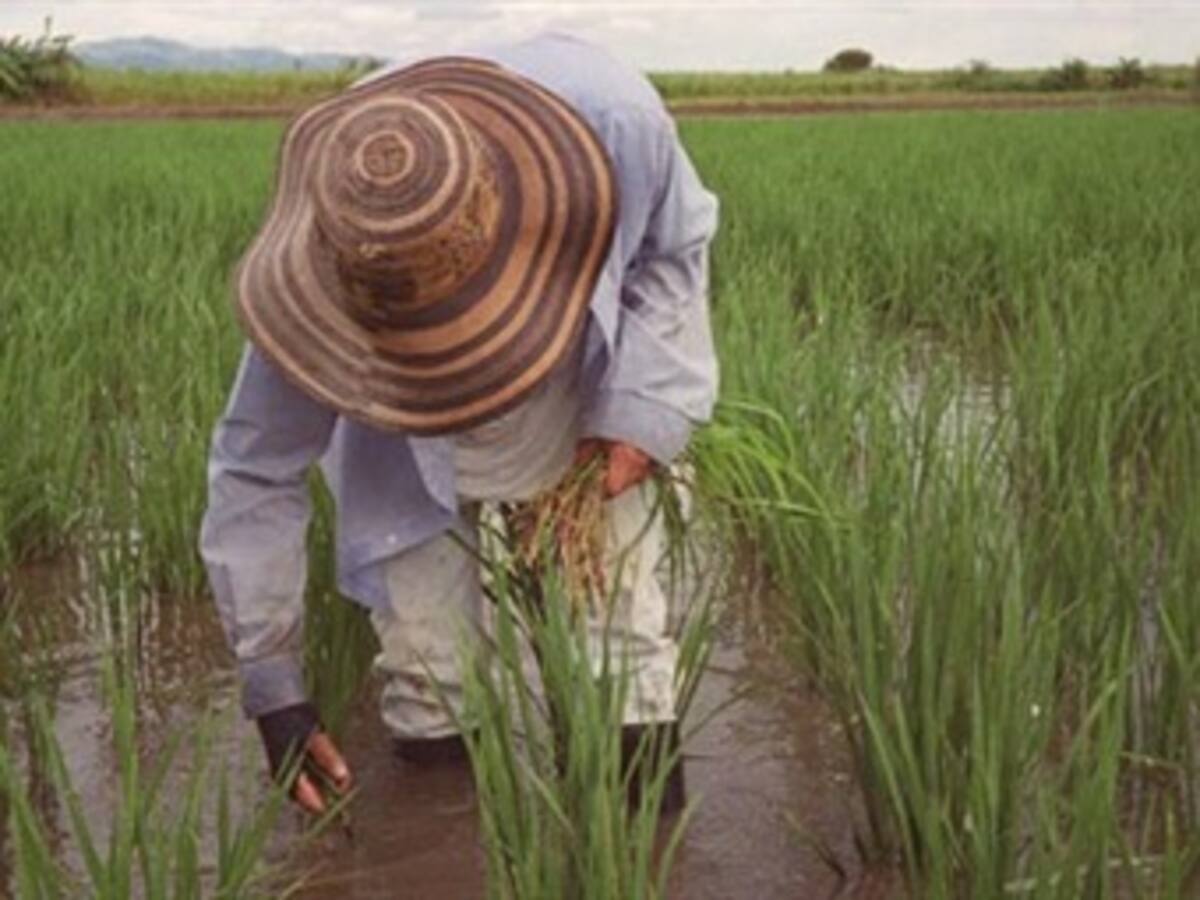 Cumbre de expertos para analizar efectos del cambio climático en el agro