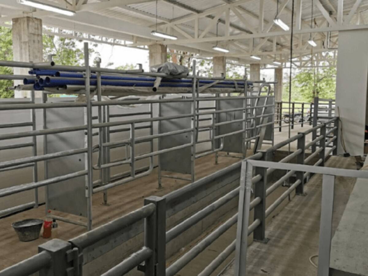 Nueva sala de ordeño para los productores de lácteos en Caldas