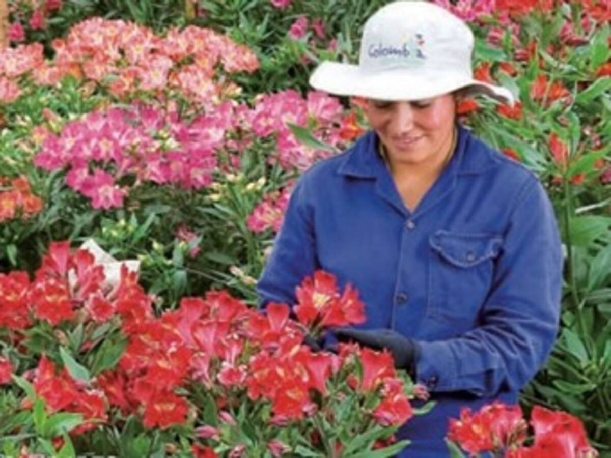 Asocolflores está afectada por bloqueos viales