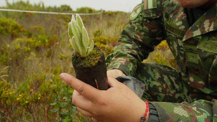 Daisy Castro, Ingeniera Ambiental de Bomberos de Floridablanca