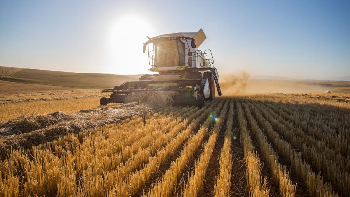 Bavaria busca más de 200 agricultores de cebada ¿Cómo puede aplicar al programa?