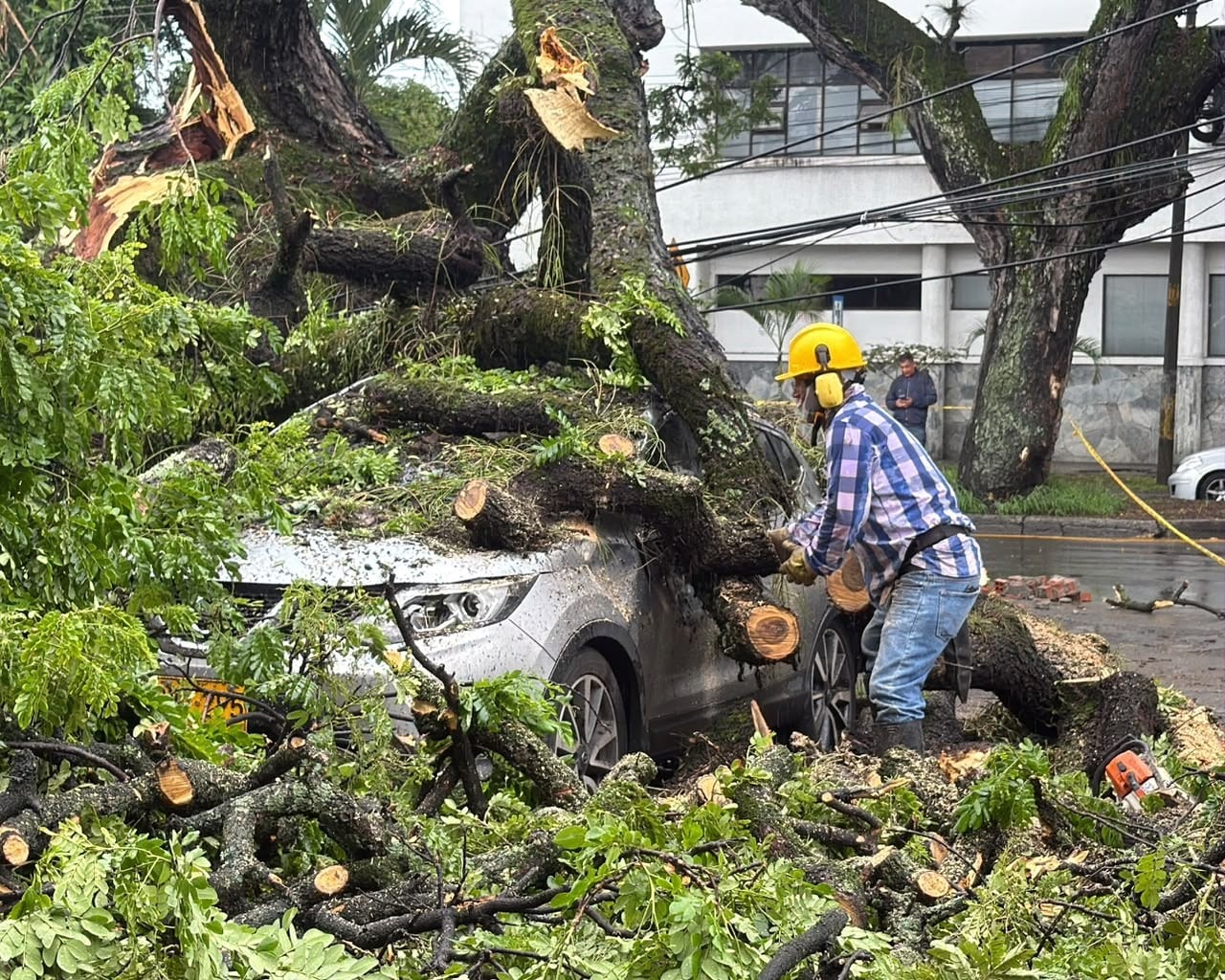 Las intensas lluvias registradas en Palmira no dejaron víctimas fatales.