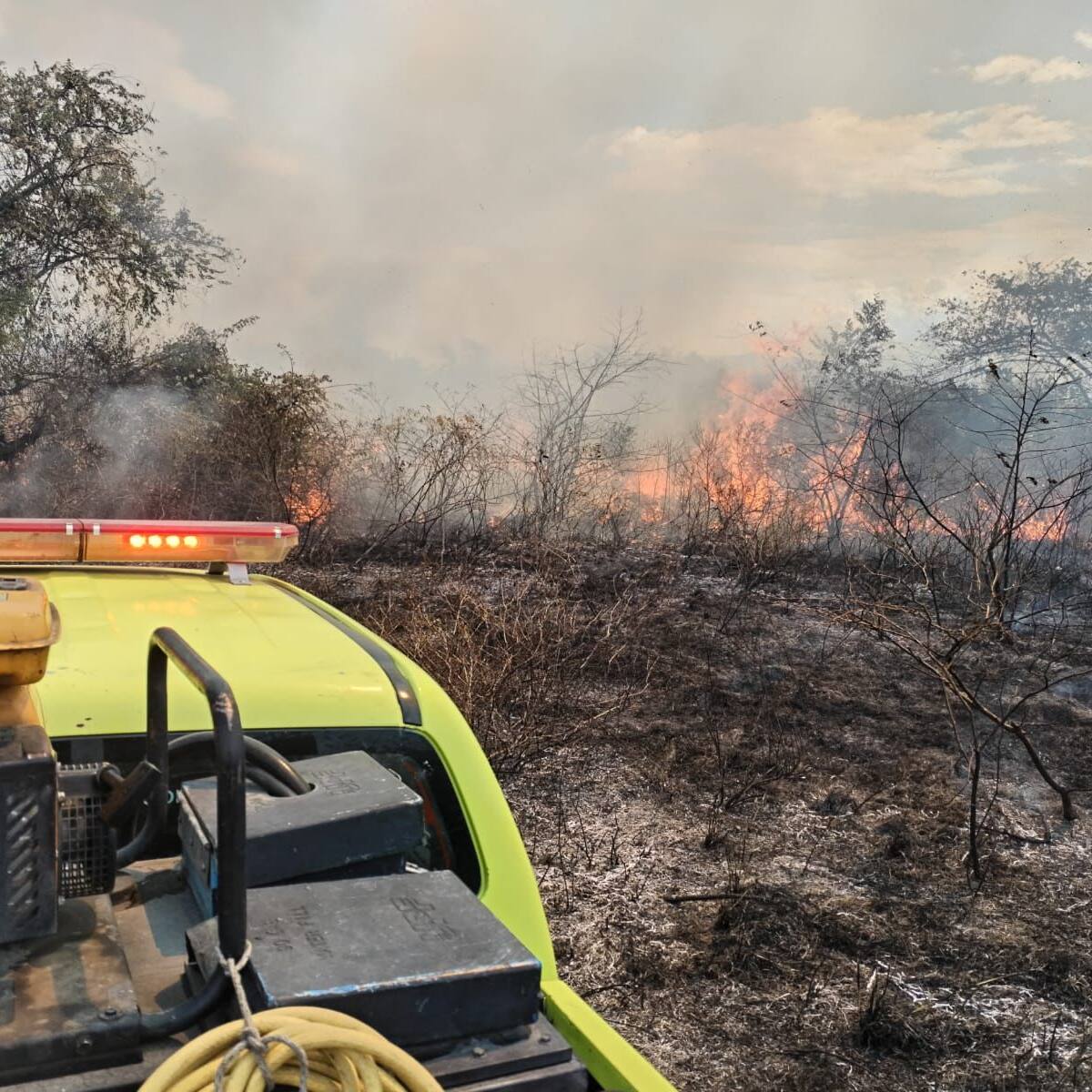 Más de 200 hectáreas de bosque consumidas por el fuego en zona rural de Neiva