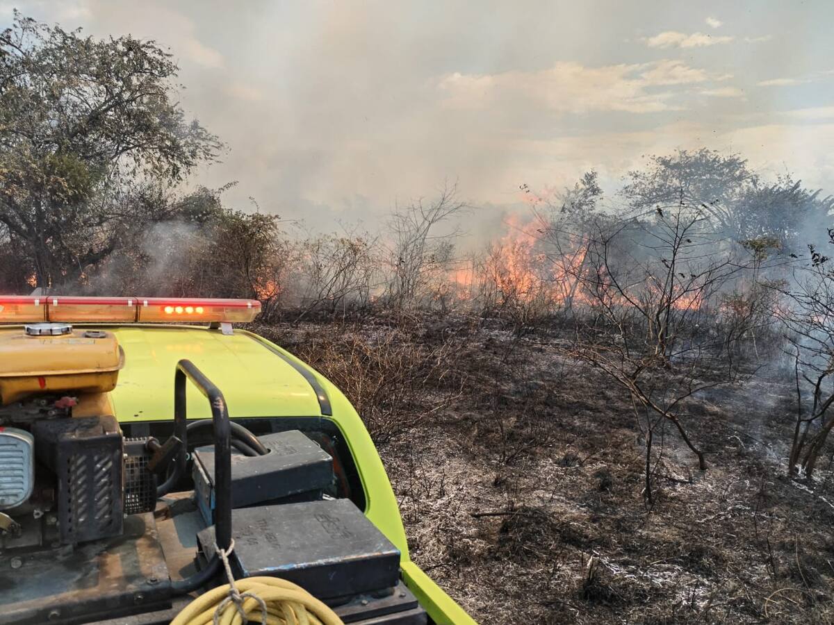 Más de 200 hectáreas de bosque consumidas por el fuego en zona rural de Neiva