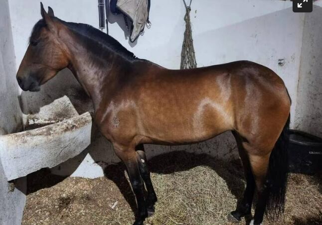 La Conquista. Caracol Radio