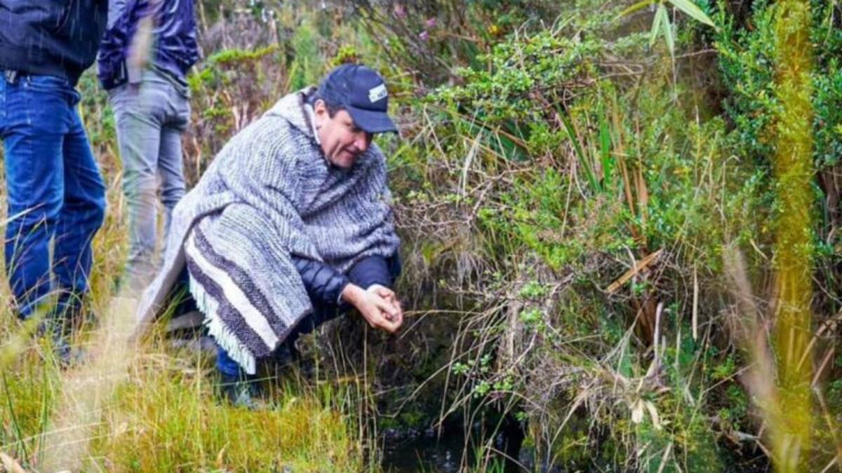 Conozca la programación de la segunda Cumbre Mundial de Páramos