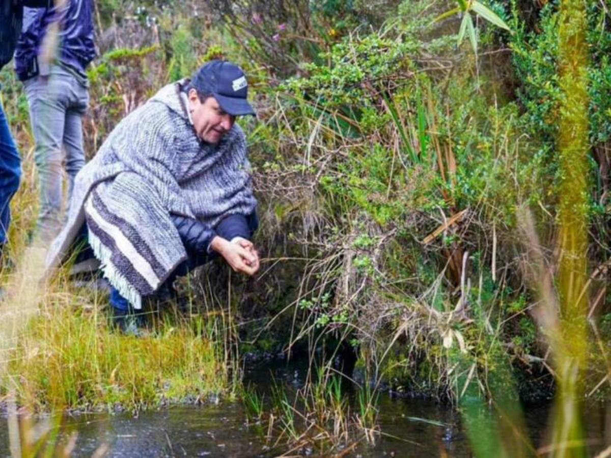 Conozca la programación de la segunda Cumbre Mundial de Páramos