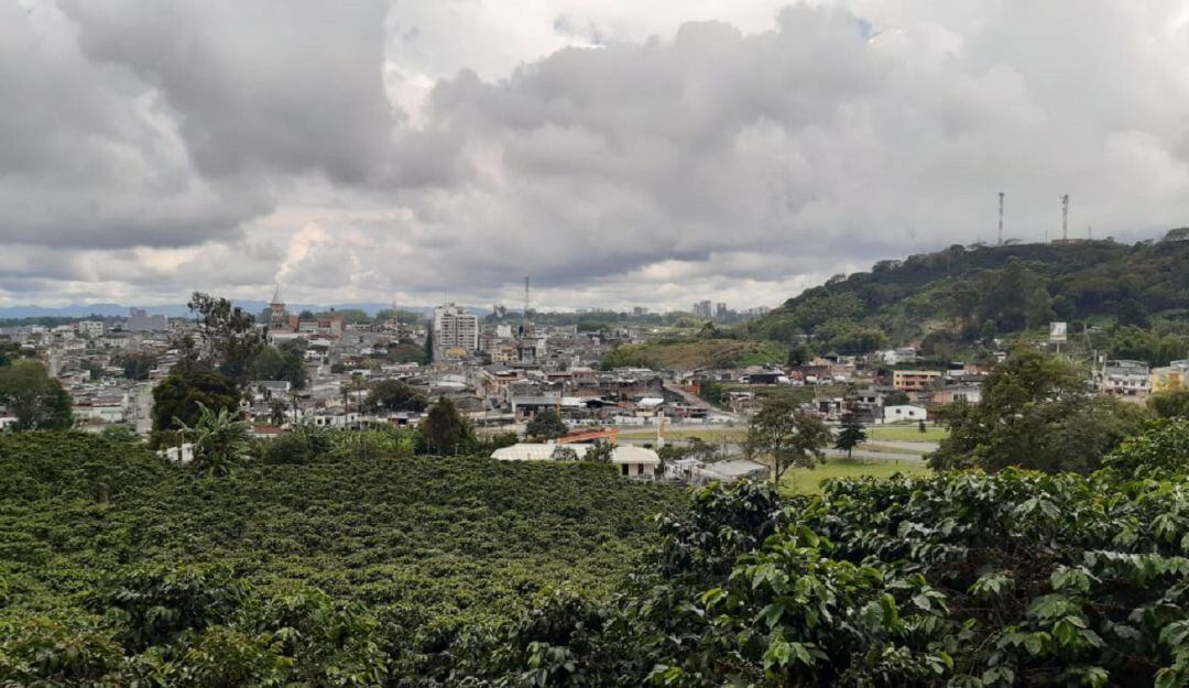 Al fondo los cafetales y el municipio de Calarcá, Quindío