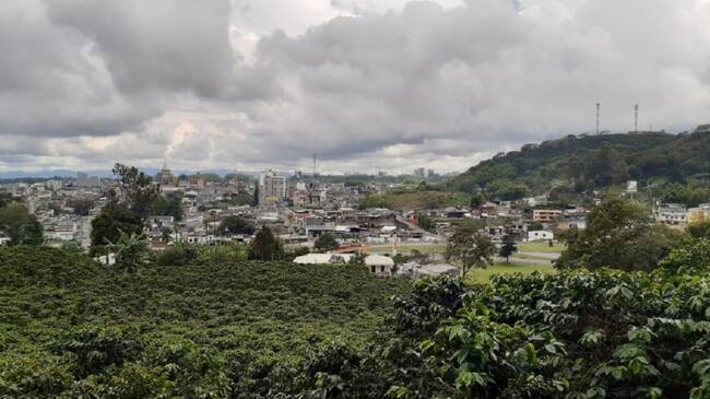 Al fondo los cafetales y el municipio de Calarcá, Quindío