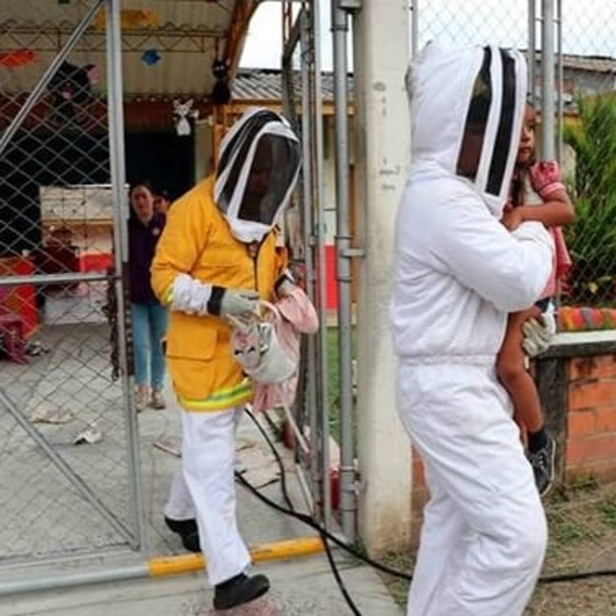 Dos adultos afectados por ataque de abejas en hogar infantil en La Tebaida