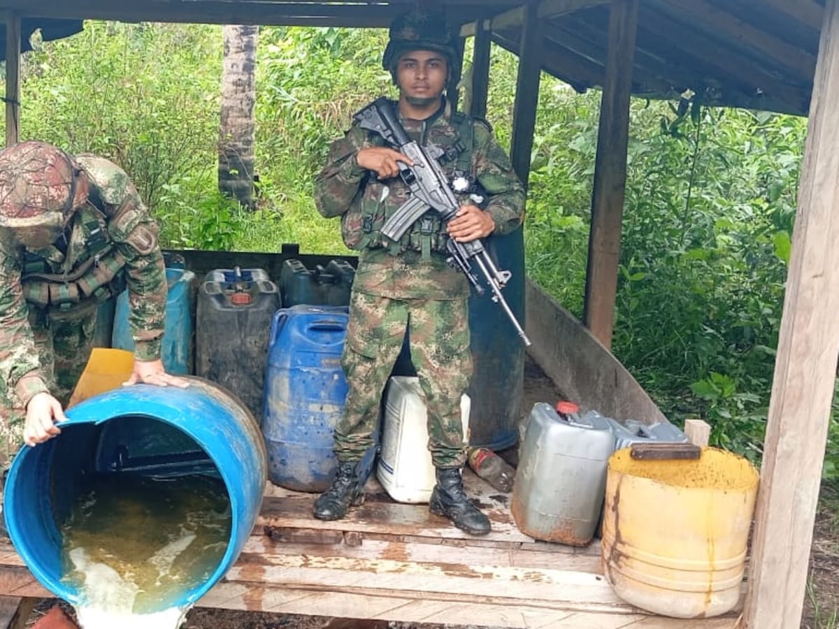 Ejército destruye laboratorio de coca y dos semilleros del Clan del Golfo en Montelíbano