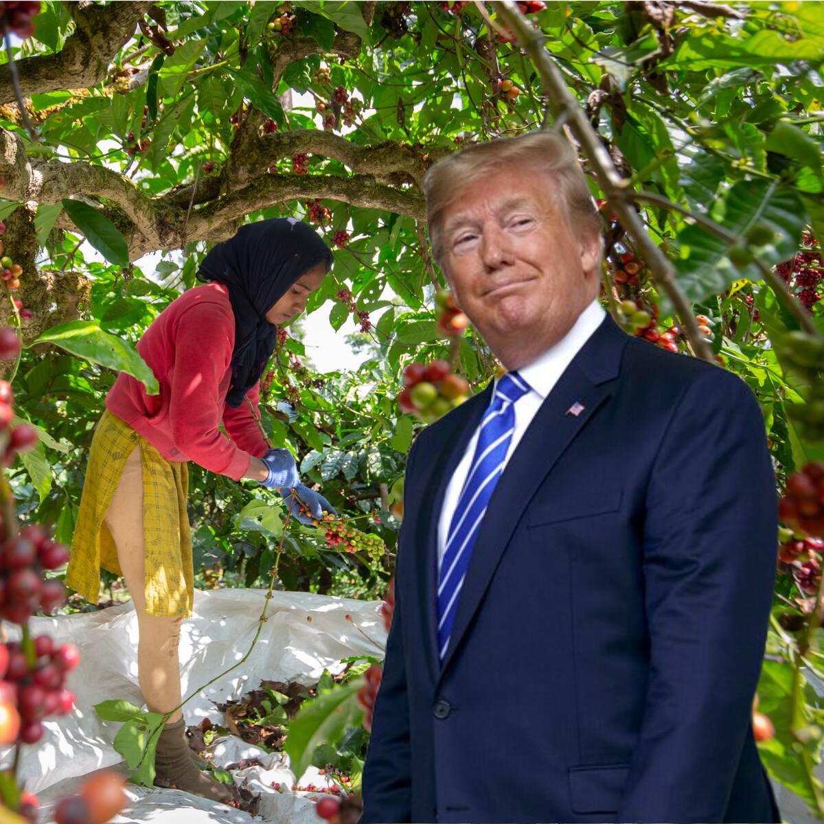 Estados Unidos anuncia aranceles para todos los productos agrícolas