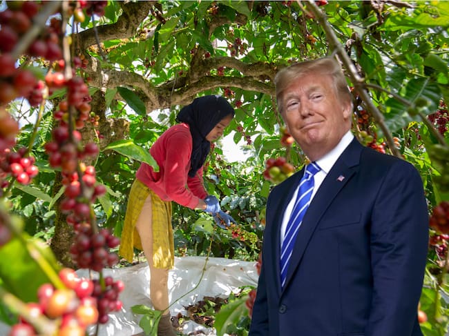Donald Trump aseguró que los agricultores estadounidenses deben estar listos para producir para el país de cara a la llegada de nuevos aranceles el 2 de abril.
(Foto: Caracol Radio / Getty )