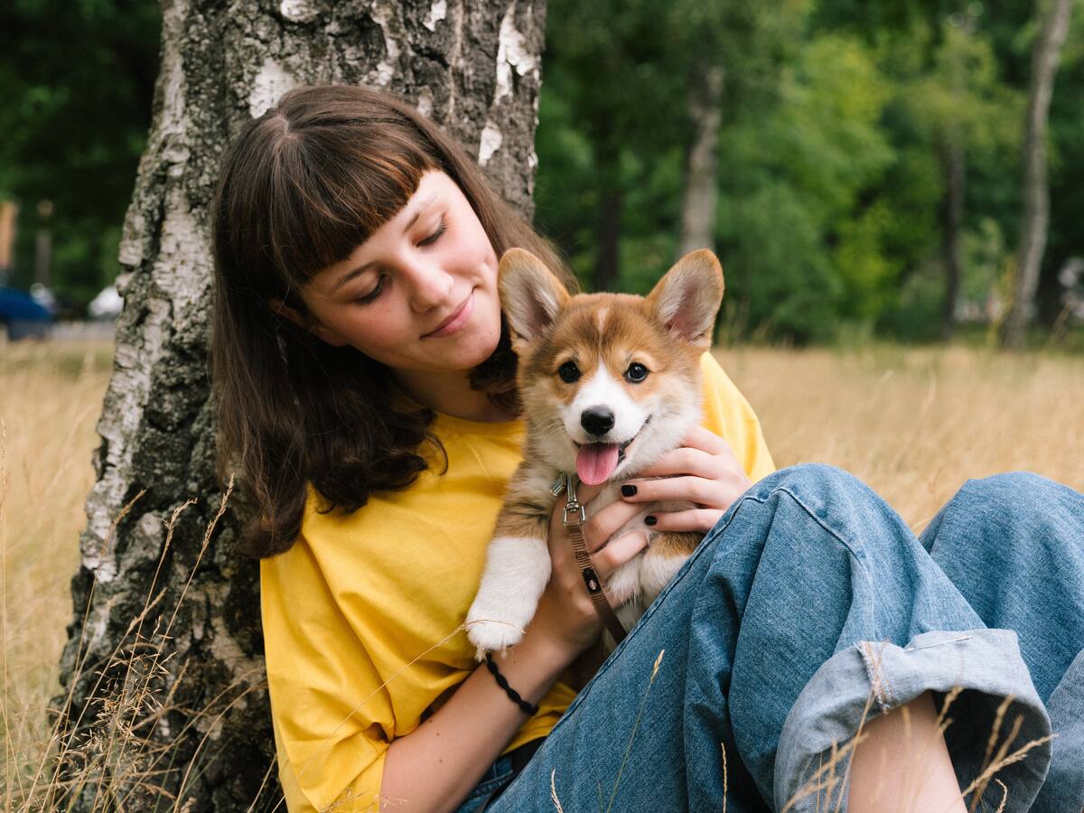 ¿Qué razas de perros son consideradas como ‘apoyo emocional’? Le explicamos