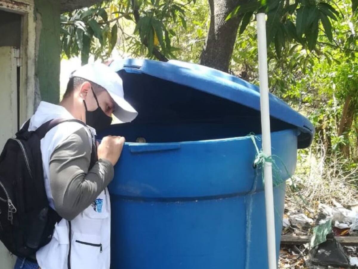 Con toldillos y fumigación, se previene el dengue en Neiva