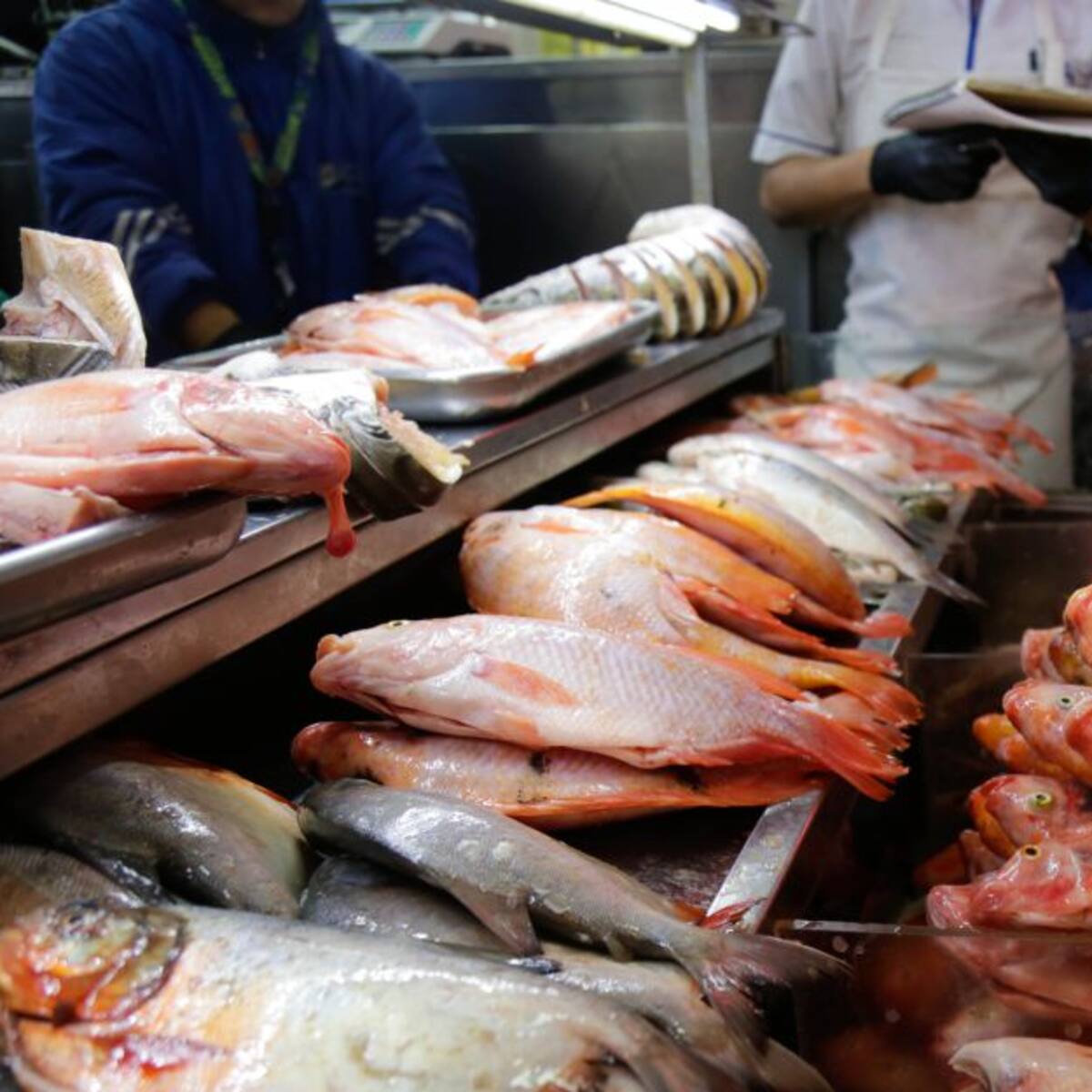 En Santa Marta uno de los platos típicos en la Semana Santa es el pescado
