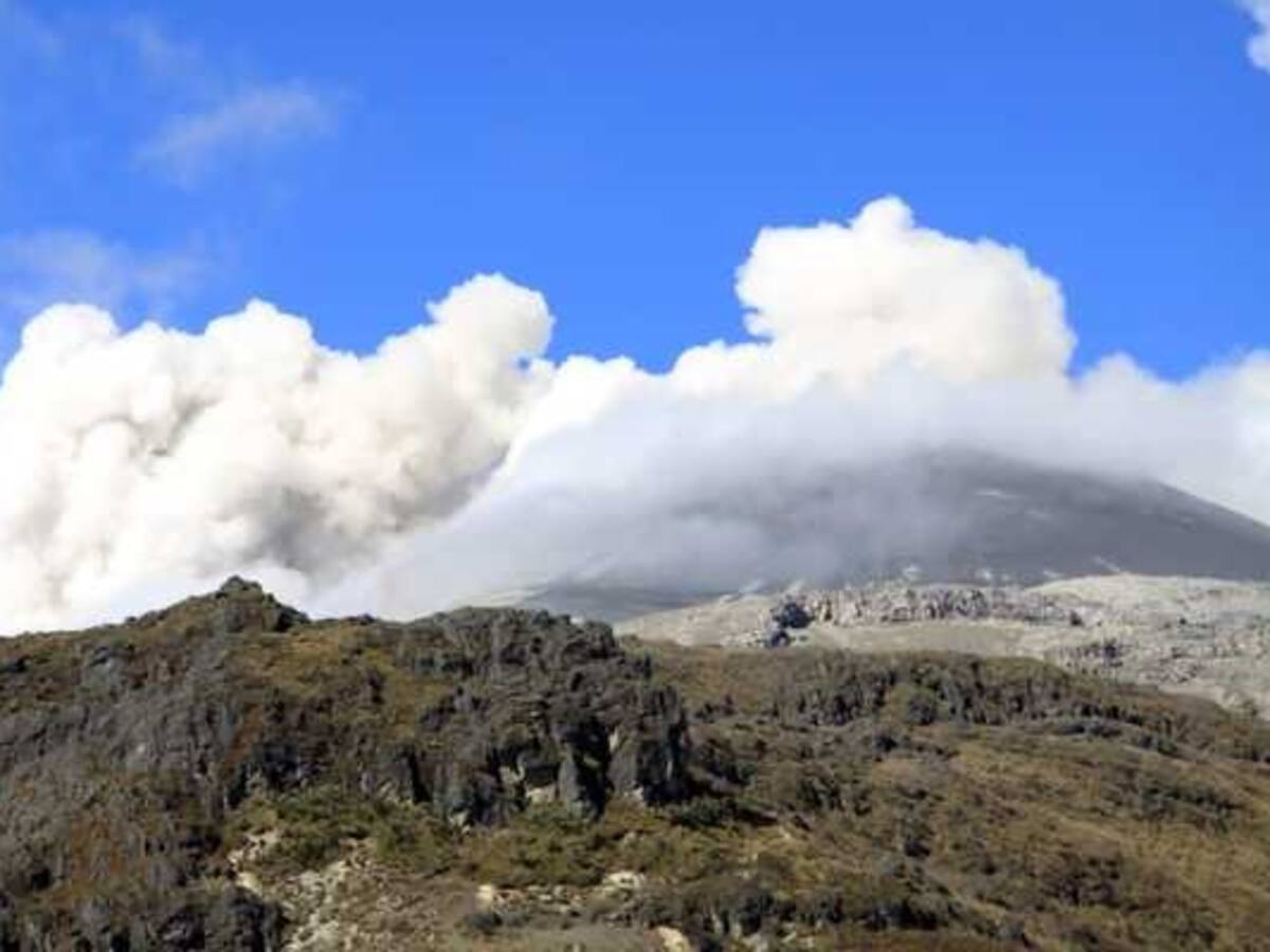 En Risaralda no evacuarán animales que están en zona de influencia del Nevado del Ruiz