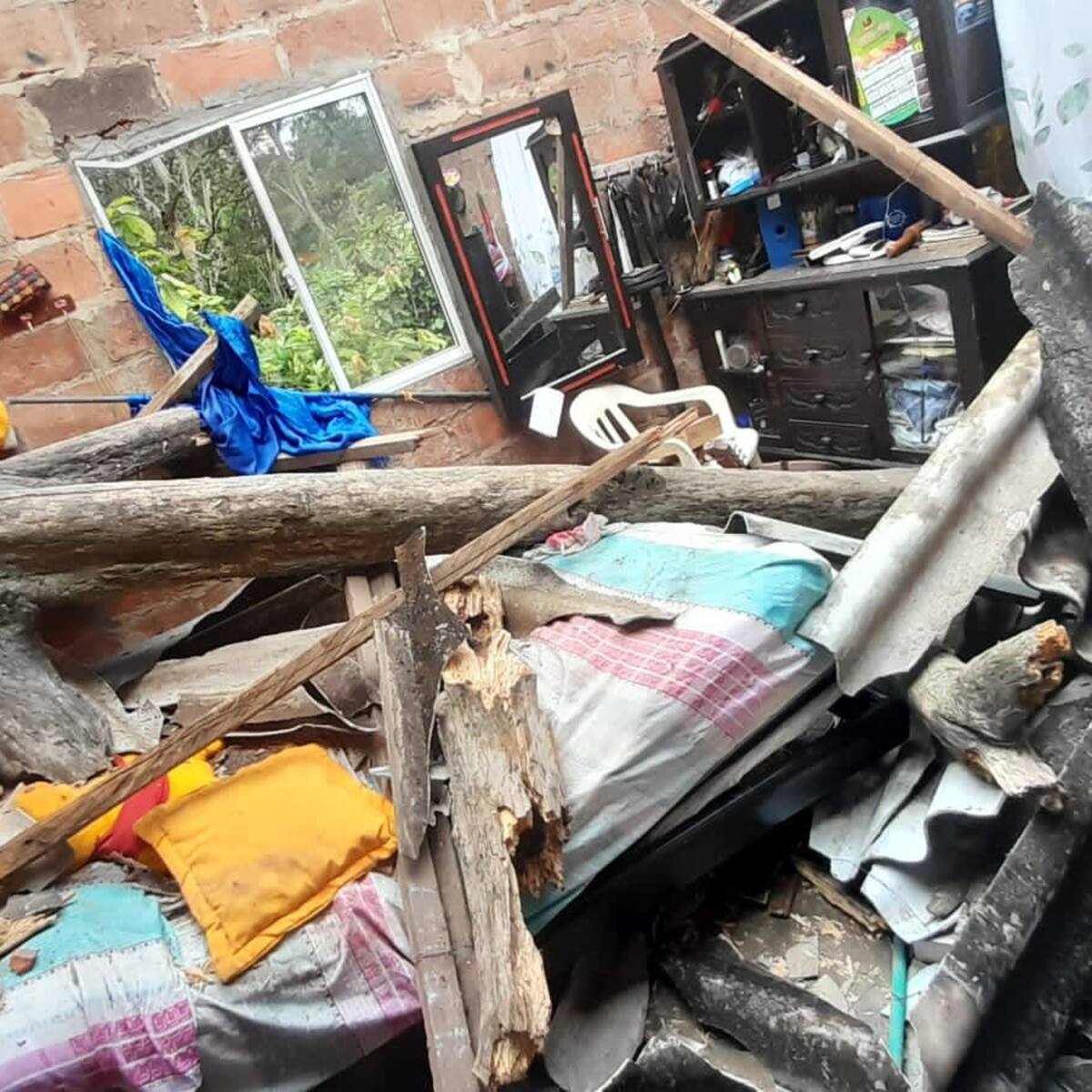 Mujer quedó herida tras caída de árbol en su casa