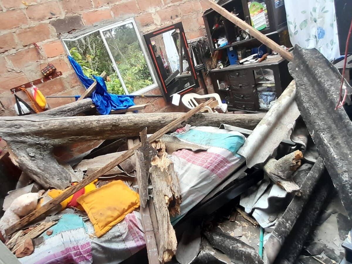 Mujer quedó herida tras caída de árbol en su casa