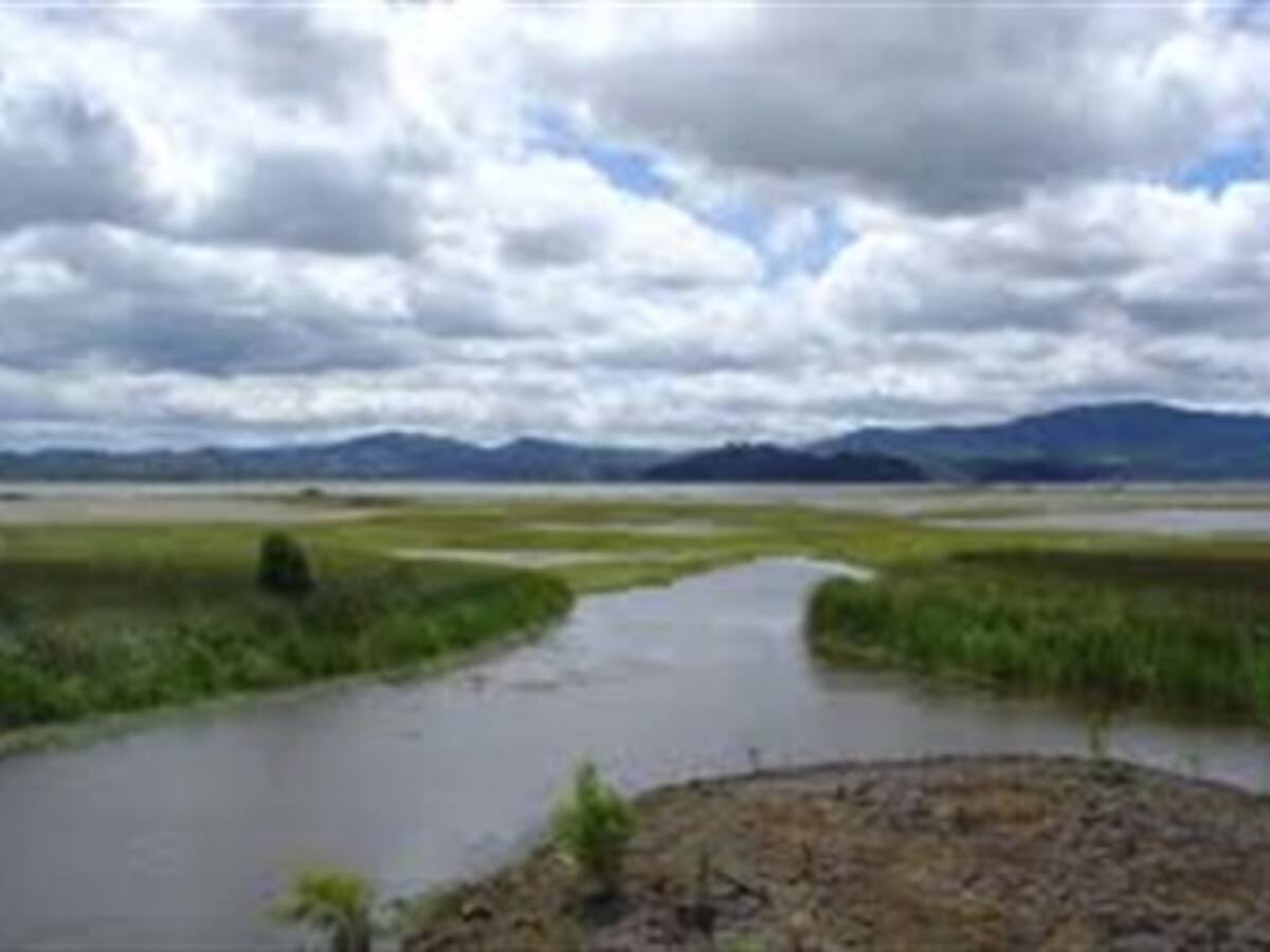 Procuraduría pide a la CAR dragar sector noroccidental de la Laguna de Fúquene