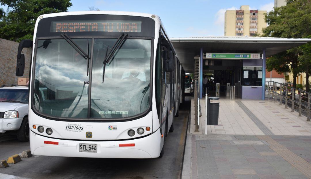 imagen de referencia