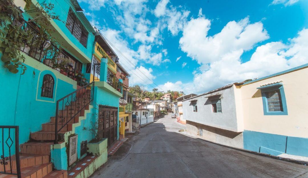 suministrada Alcadlía de Ibagué