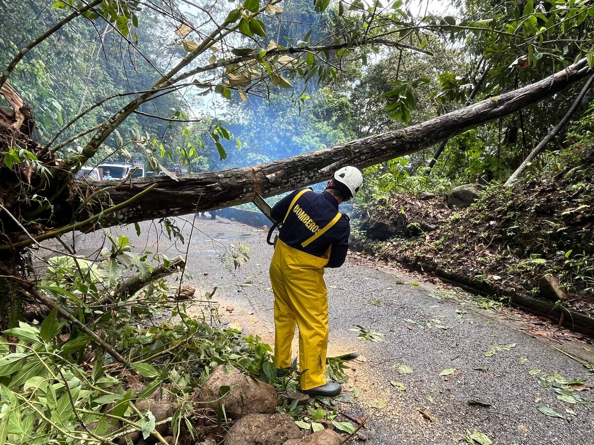 Más de cinco bloqueos viales por árboles caídos y derrumbes en el oriente de Caldas