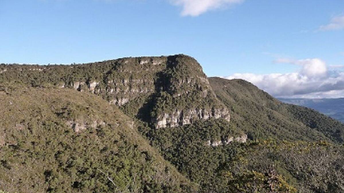 Avanza la restauración de un humedal del corredor biológico Cerro el Piono