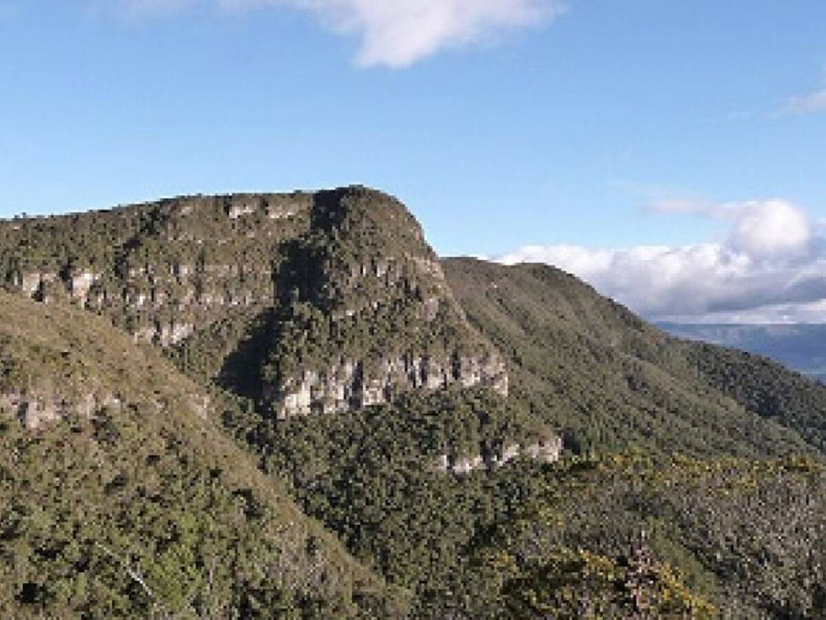 Avanza restauración de un humedal del corredor biológico Cerro el Pionono