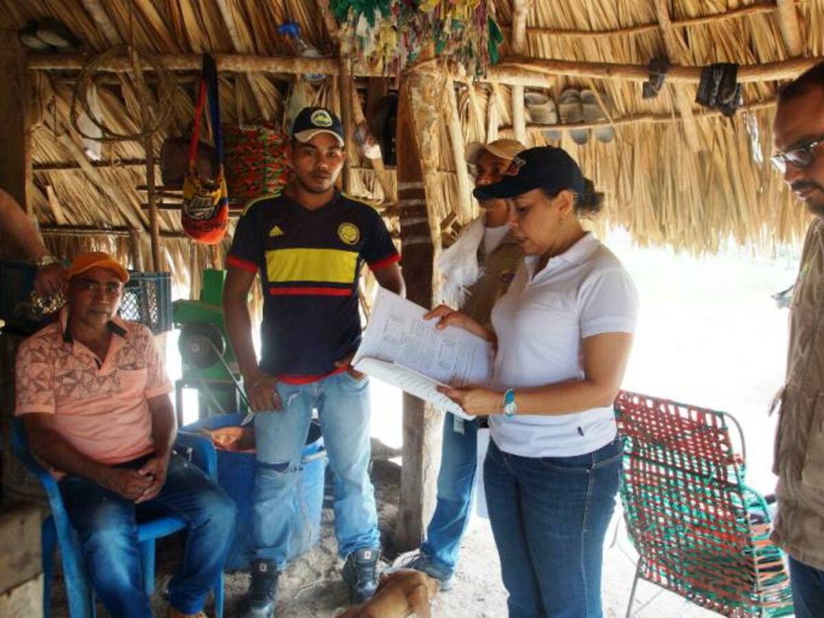 Familias de El Carmen de Bolívar, víctimas de las Farc, recuperaron sus parcelas